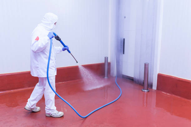  Los Angeles, CA Pressure Washing Pros